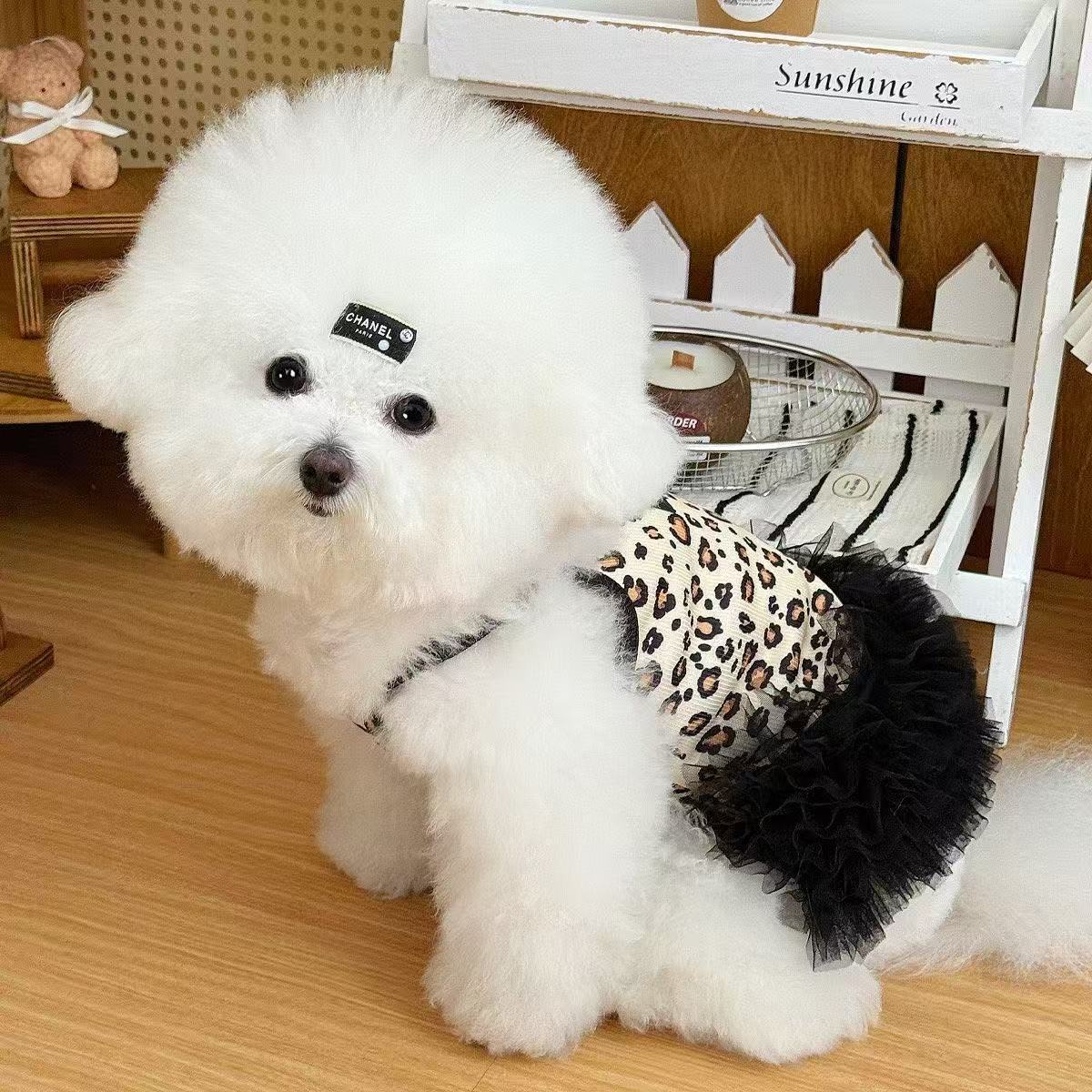여름 강아지 고양이 공주풍 포메라니안 비숑 원피스 펫 의류